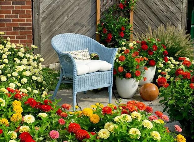 40 Varieties of Flower Seeds